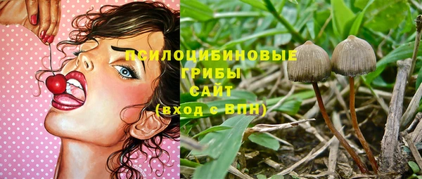 ешки Волоколамск