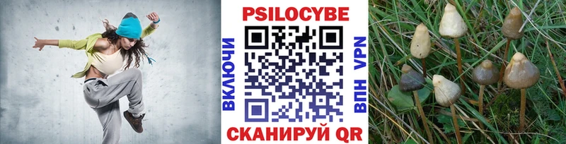 Купить  Солигалич  Галлюциногенные грибы мицелий 